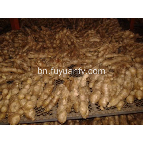 এয়ার শুকনো আদা 200g এবং আপ